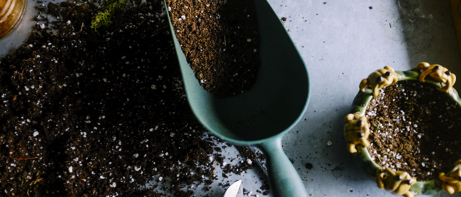 Großzügige Gartenanlage — GrünWerk Referenzprojekt